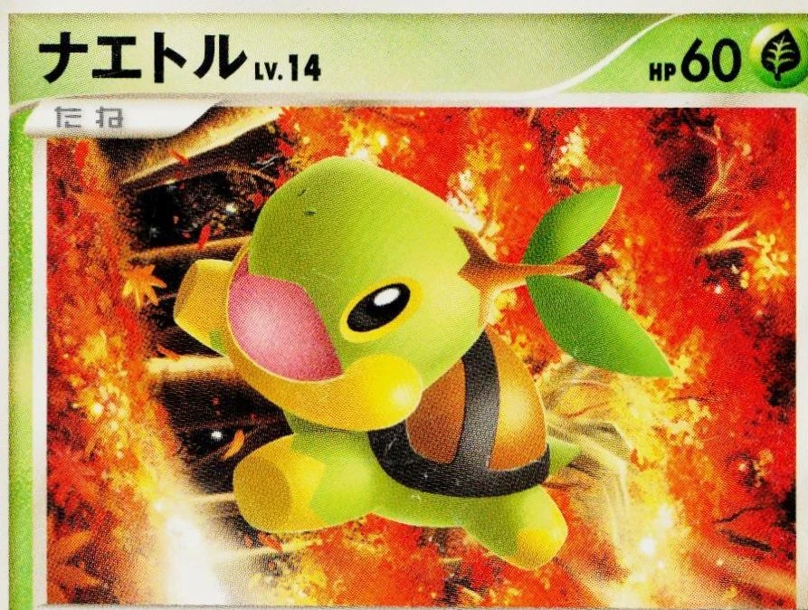 Turtwig #1