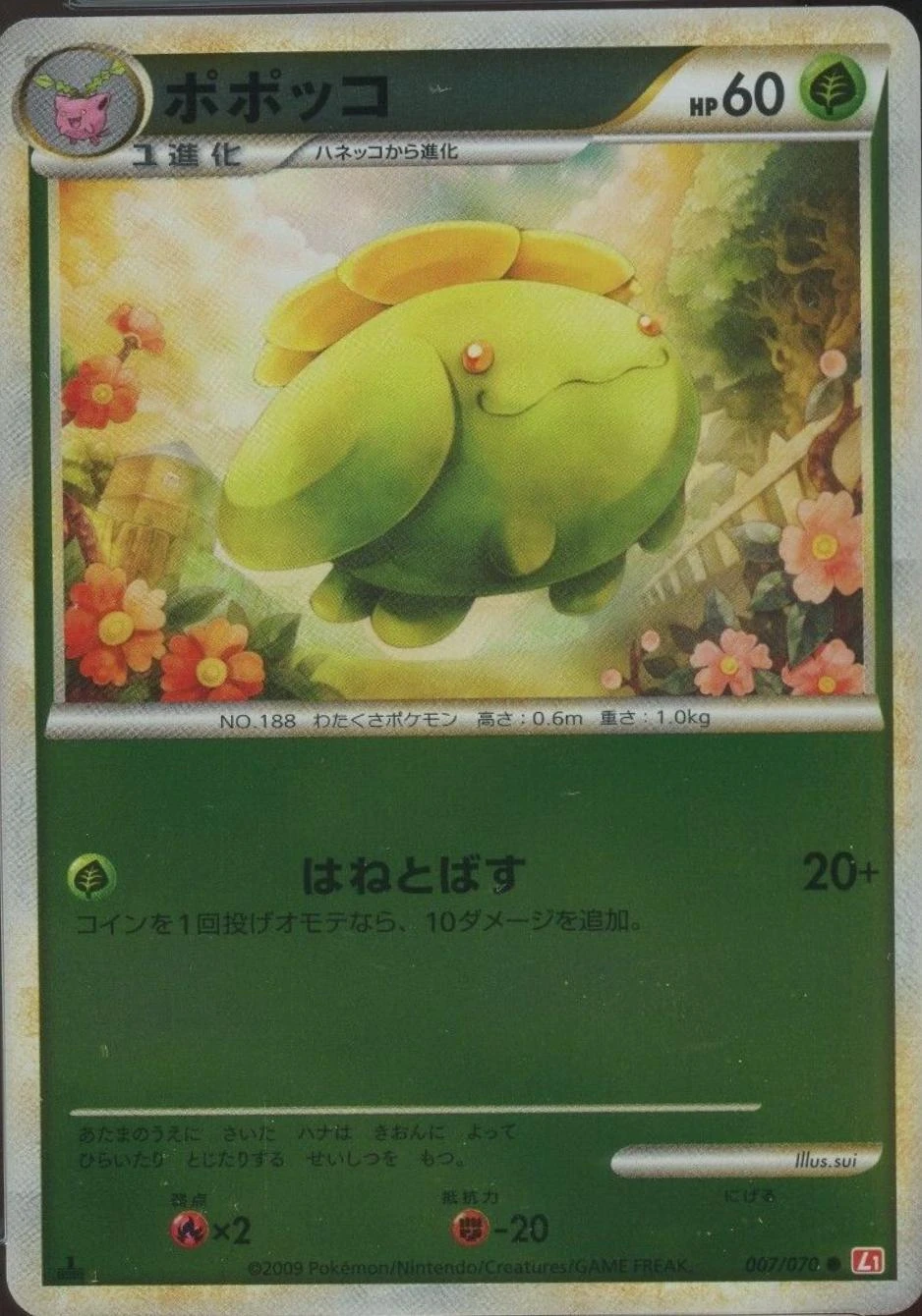 Skiploom #7