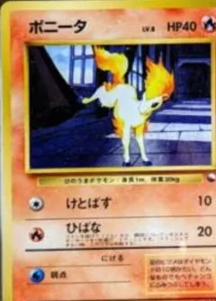 Ponyta