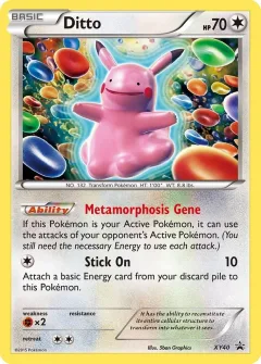 Ditto Xy40