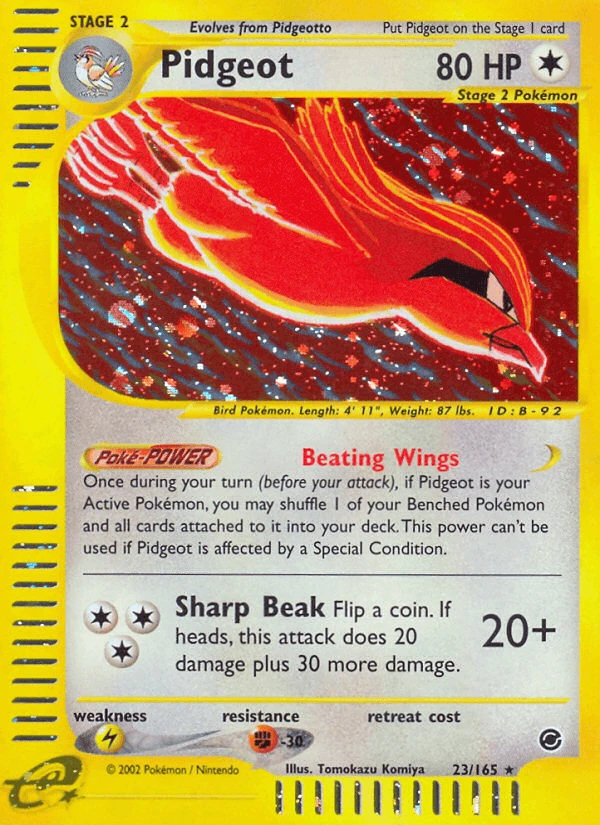 Pidgeot #23