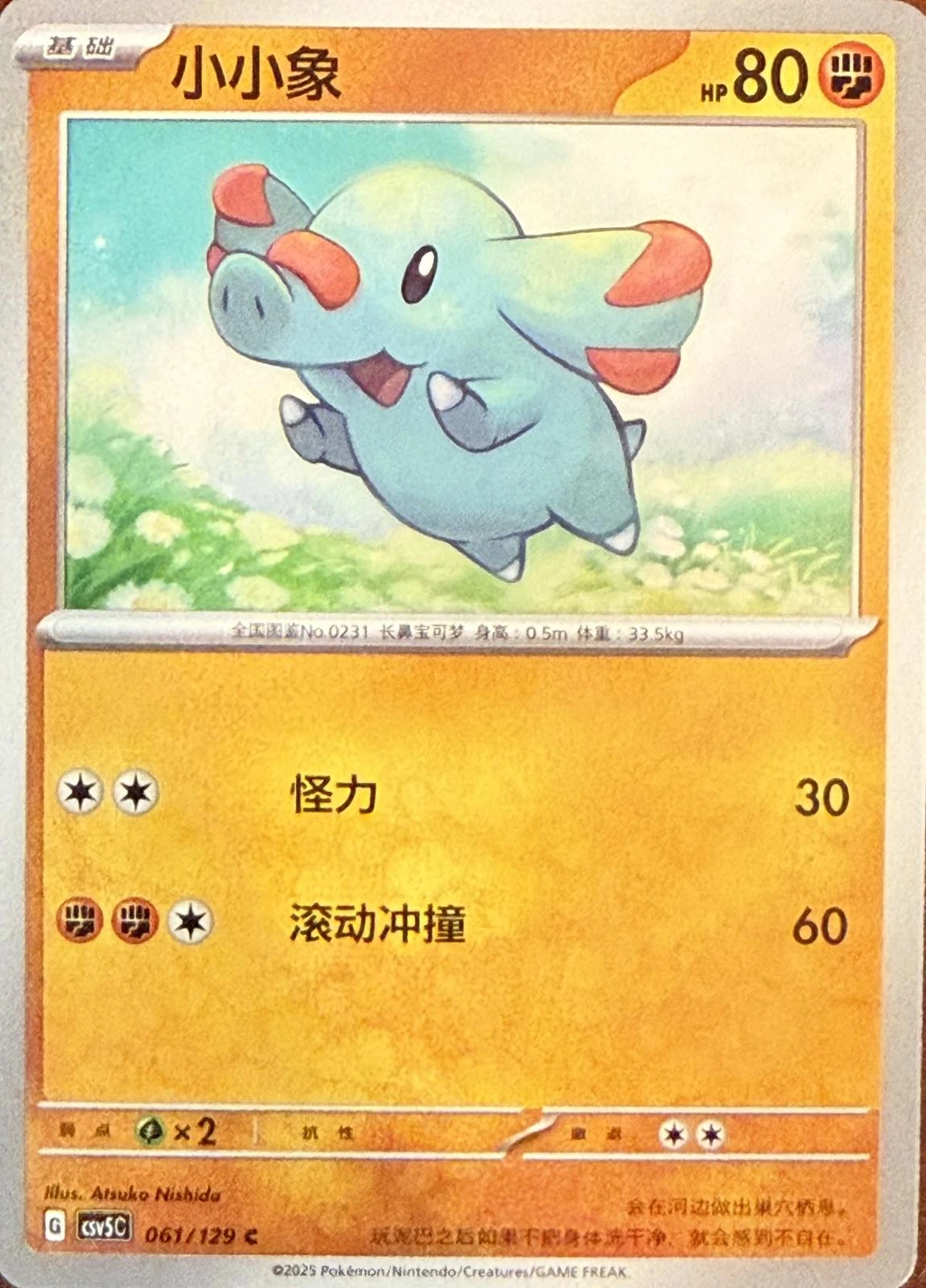 Phanpy #61