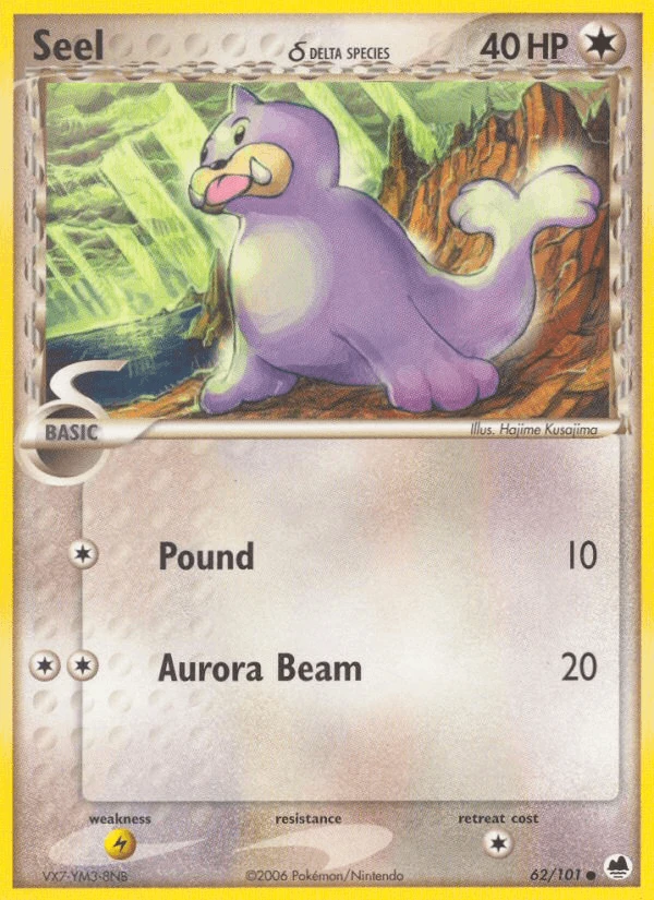Seel #62