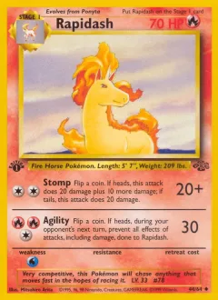 Rapidash 1st Edition
