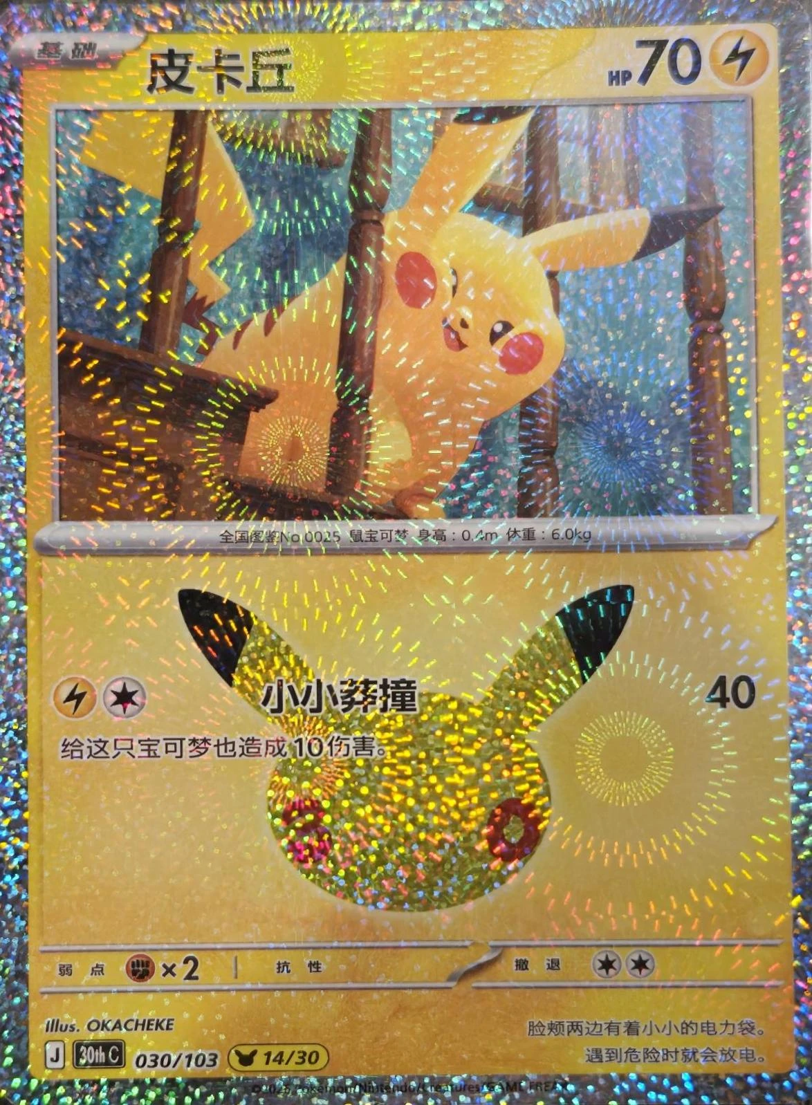 Pikachu #30