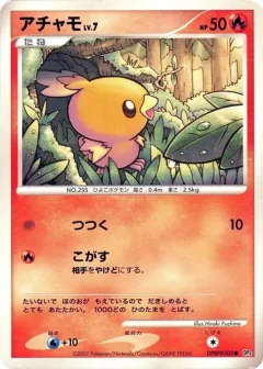 Torchic 1st Edition