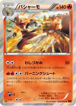 Blaziken #14