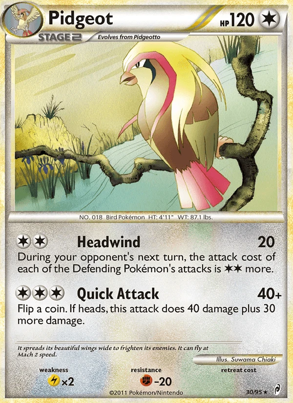 Pidgeot #30