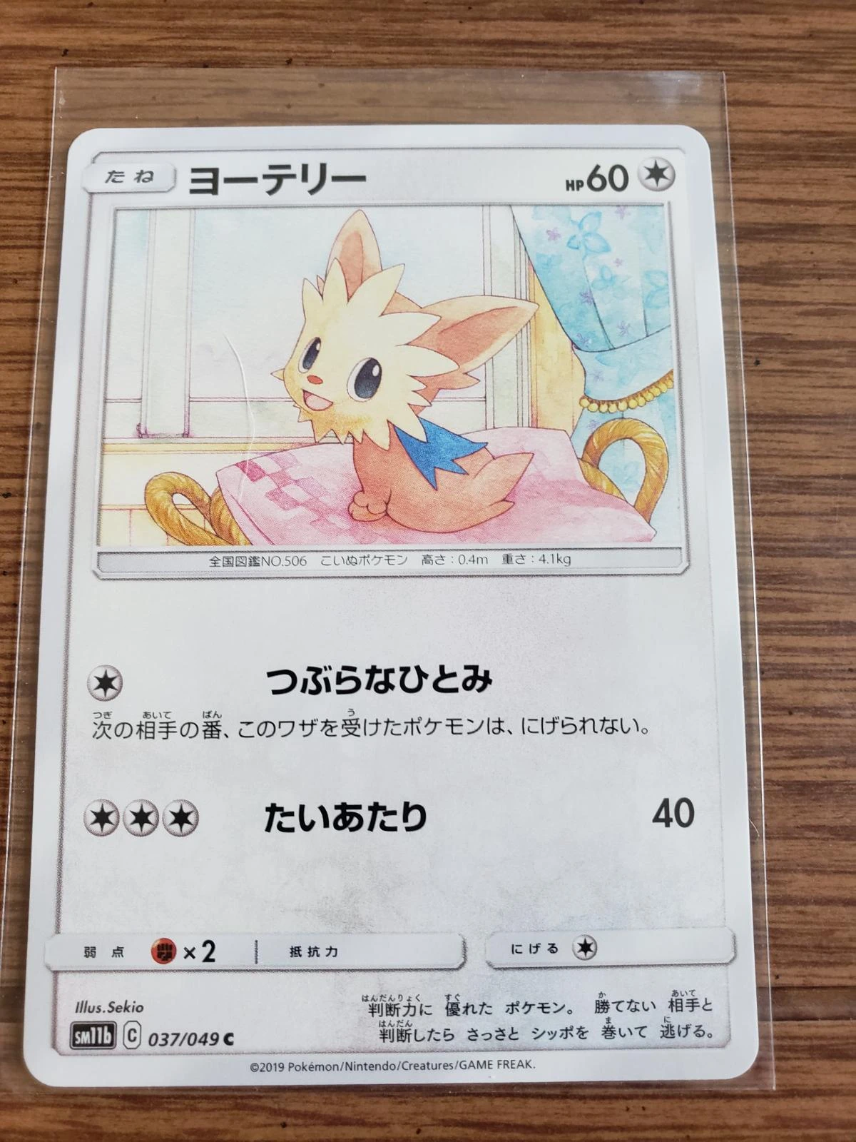 Lillipup #37