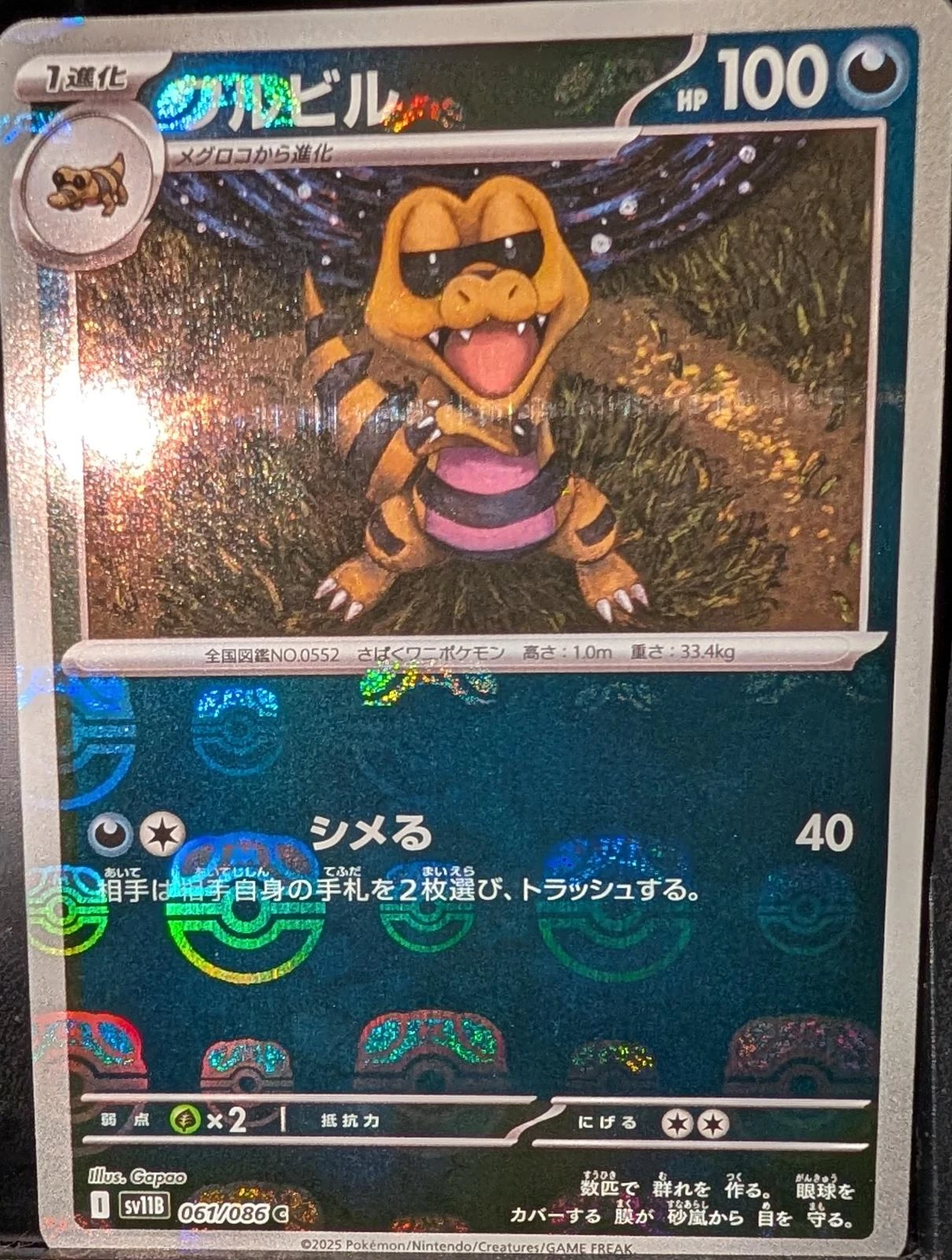 Krokorok Master Ball #61
