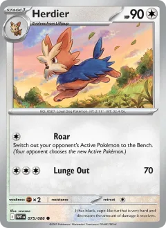 Herdier Reverse