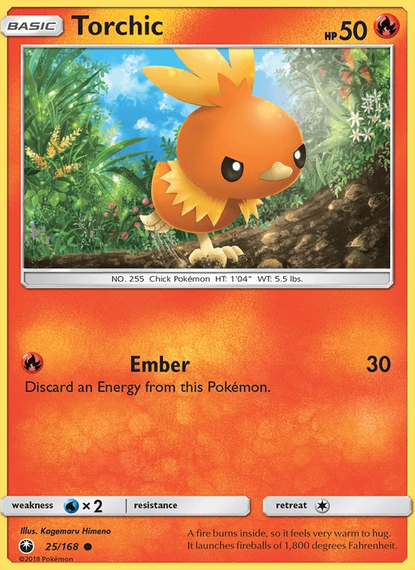 Torchic #25