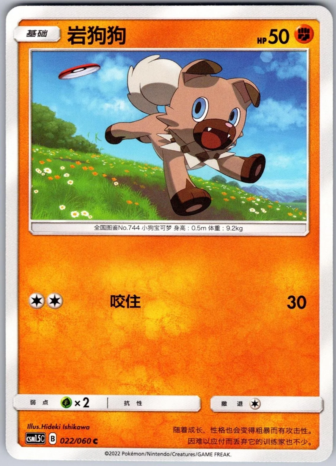Rockruff #22