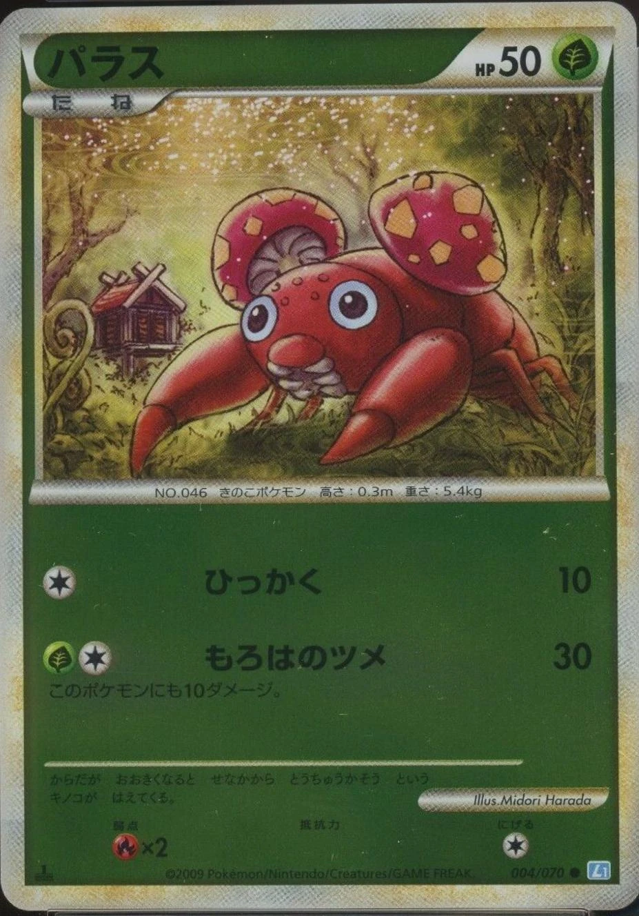Paras #4