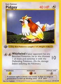 Pidgey Shadowless