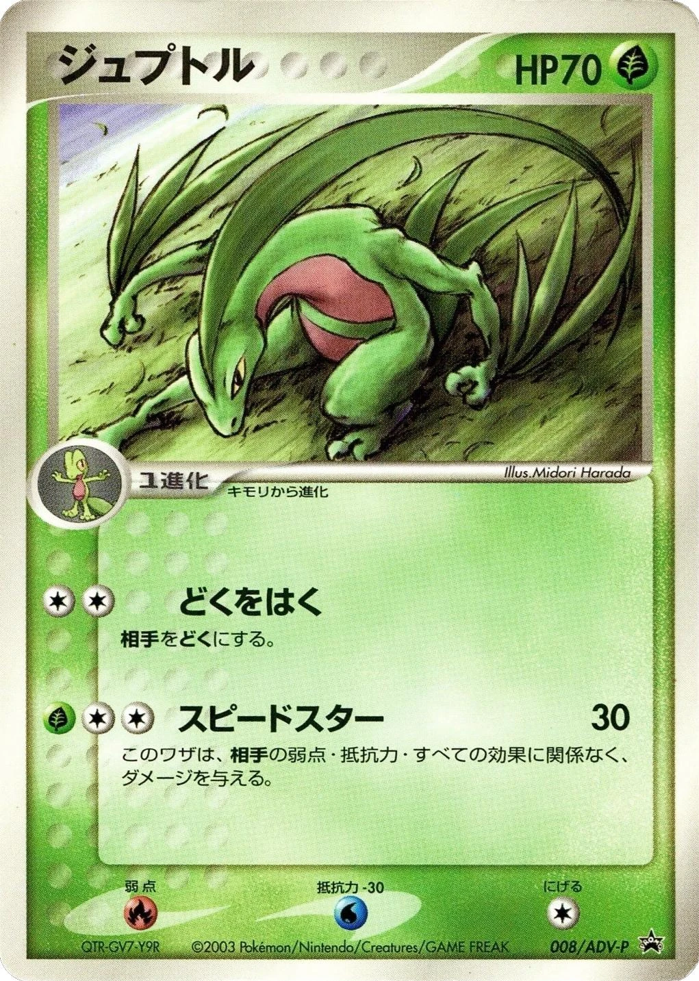 Grovyle 8adv P