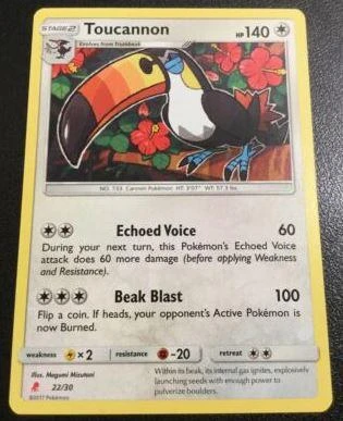 Toucannon #22