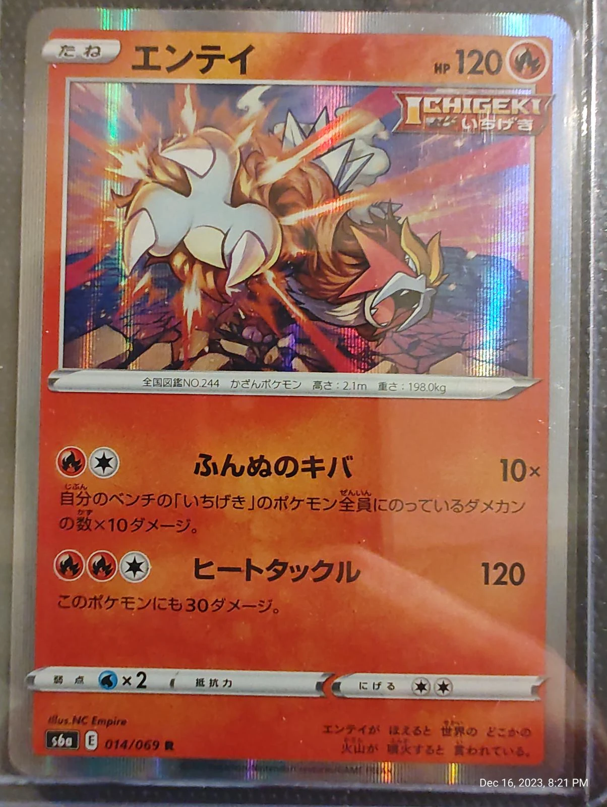Entei #14