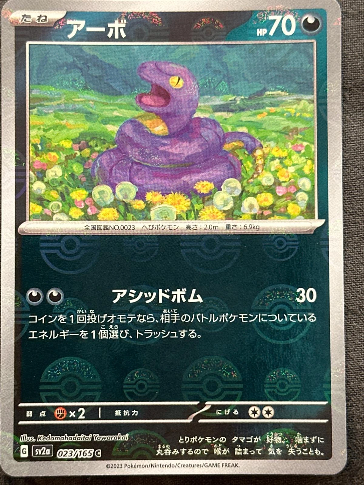 Ekans Master Ball #23