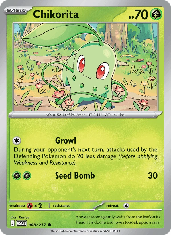 Chikorita #8