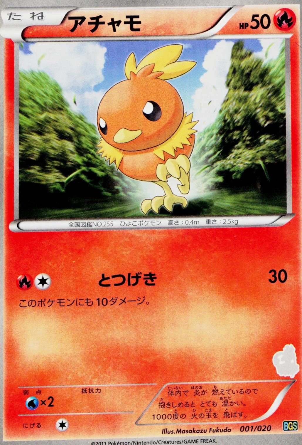 Torchic #1