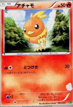 Torchic