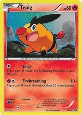 Tepig #BW07