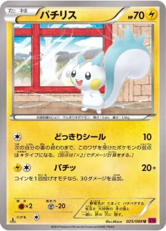 Pachirisu 1st Edition