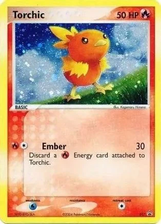 Torchic #17