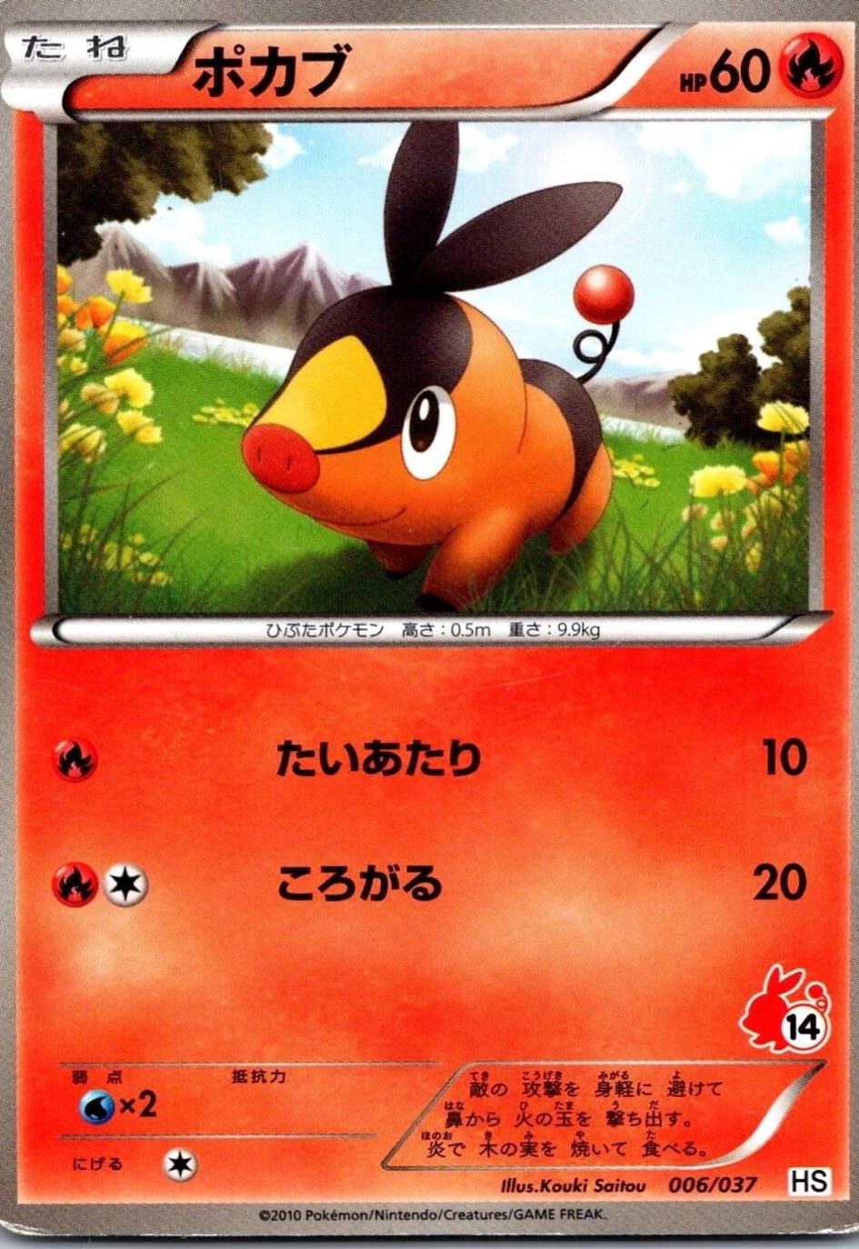 Tepig #6