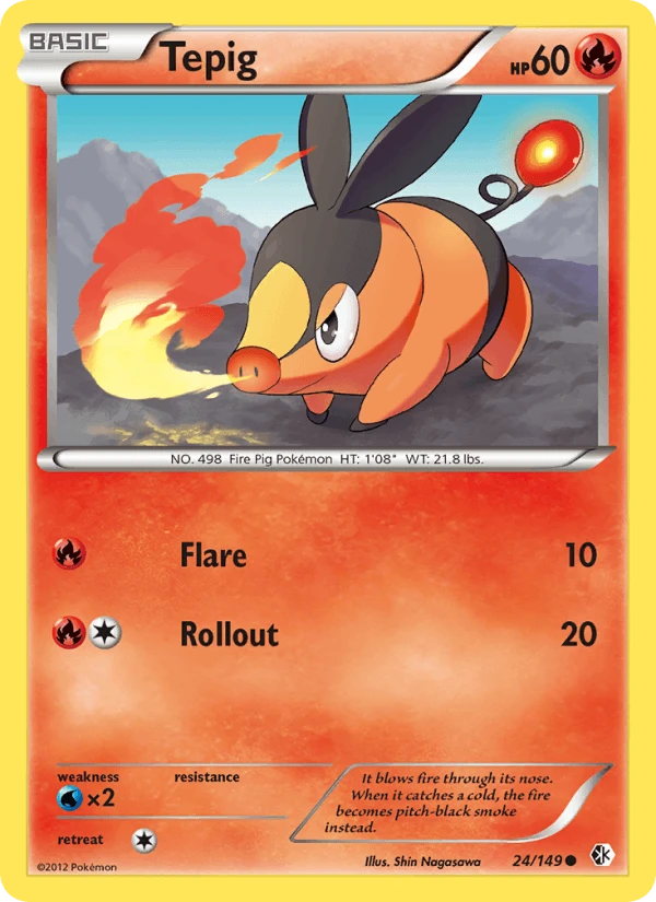 Tepig #24
