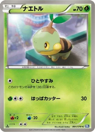 Turtwig #1