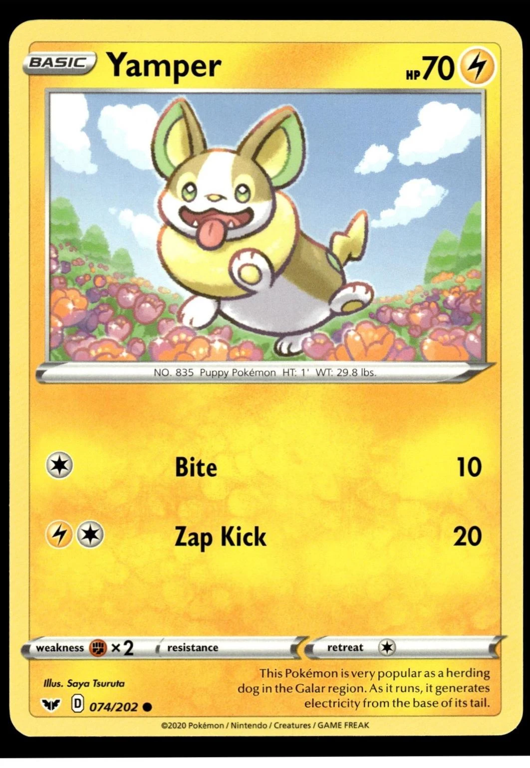Yamper #74