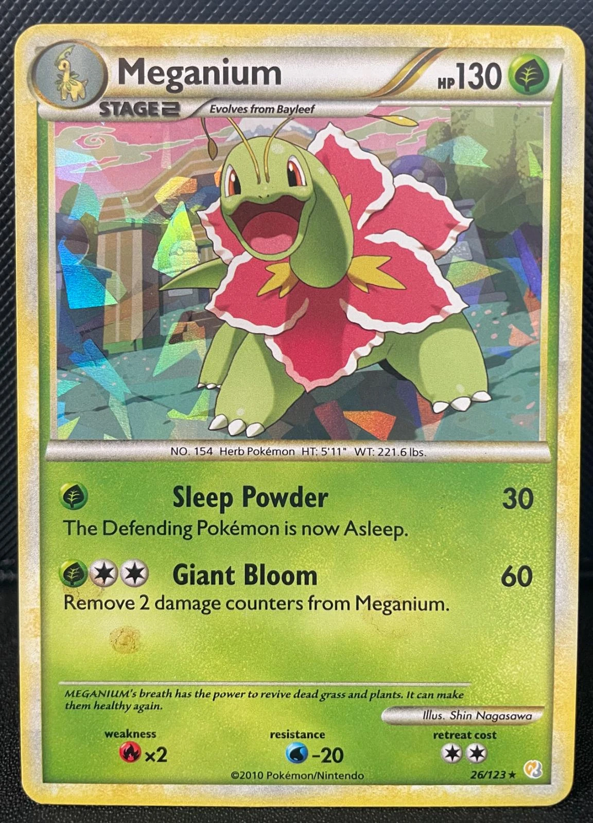 Meganium Cracked Ice #26