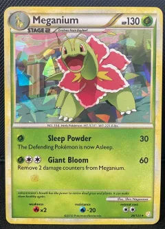 Meganium Cracked Ice