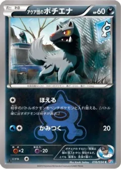 Team Aqua's Poochyena 1st Edition