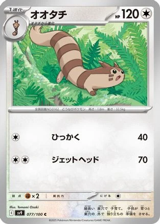 Furret #77