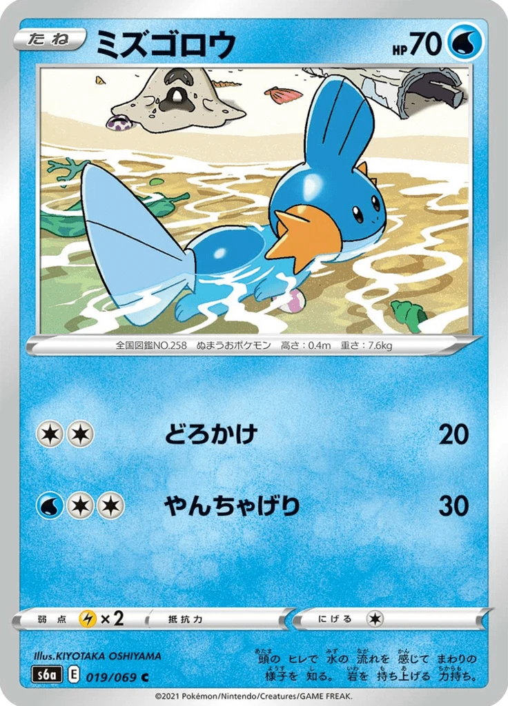 Mudkip #19
