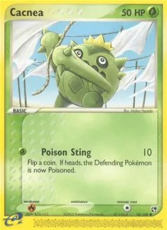 Cacnea Reverse Holo