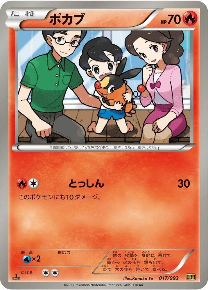 Tepig #17