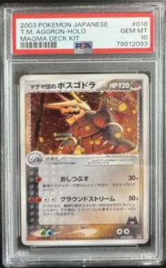 Aggron-Holo
