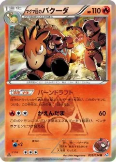 Team Magma's Camerupt 1st Edition