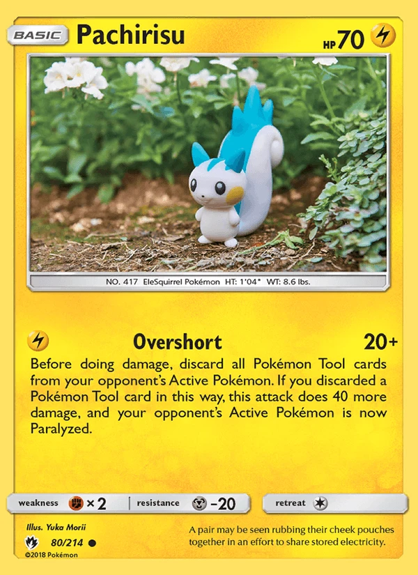 Pachirisu #80