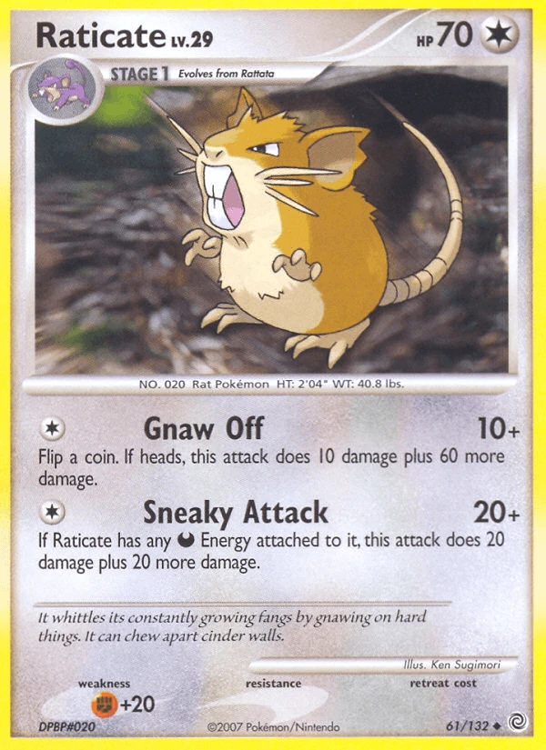 Raticate #61