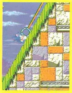 Sonic
