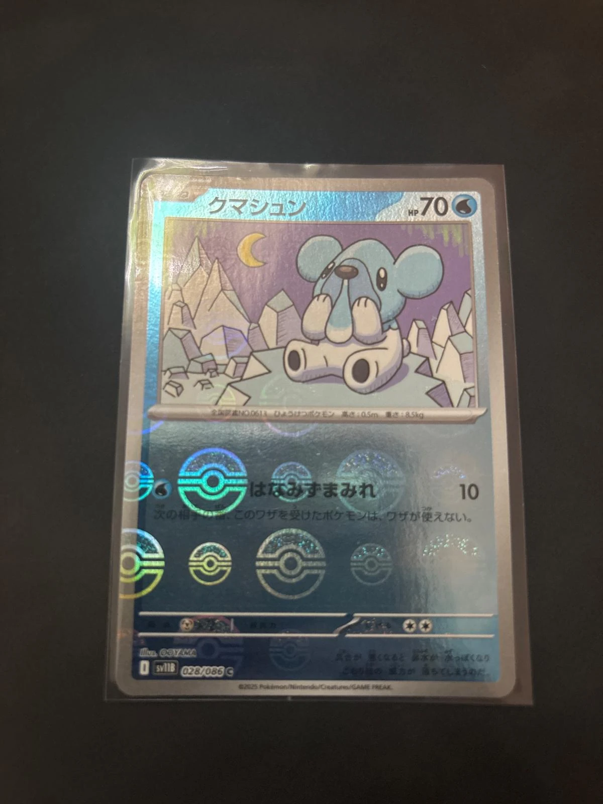 Cubchoo Poke Ball #28