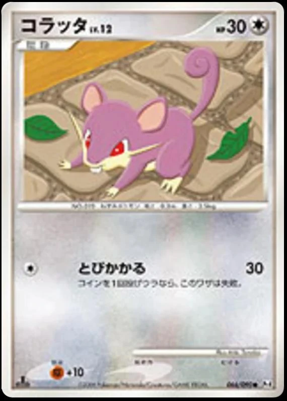 Rattata #66