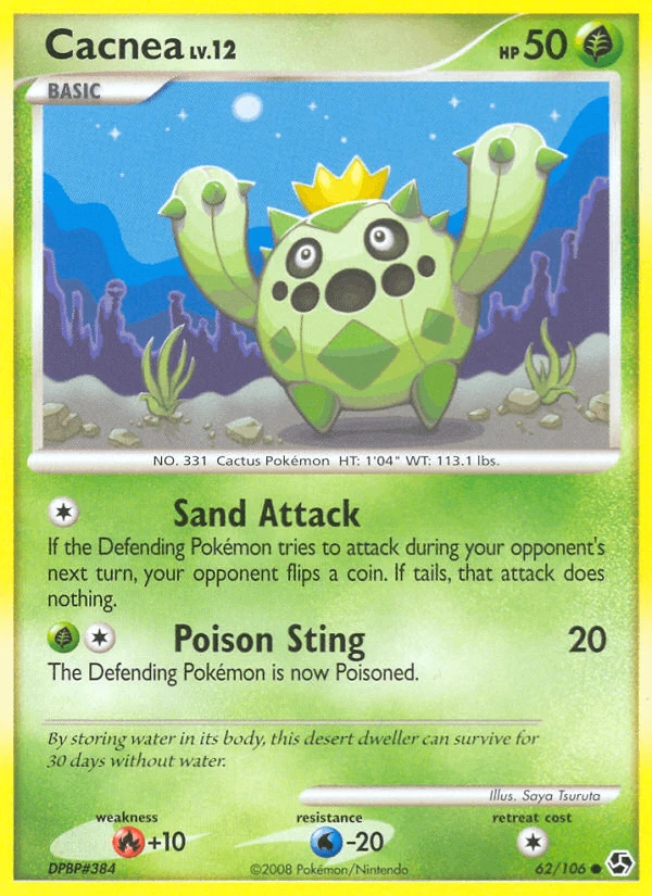 Cacnea #62