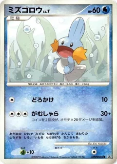 Mudkip 1st Edition
