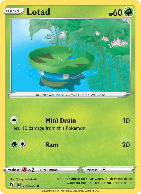 Lotad #7